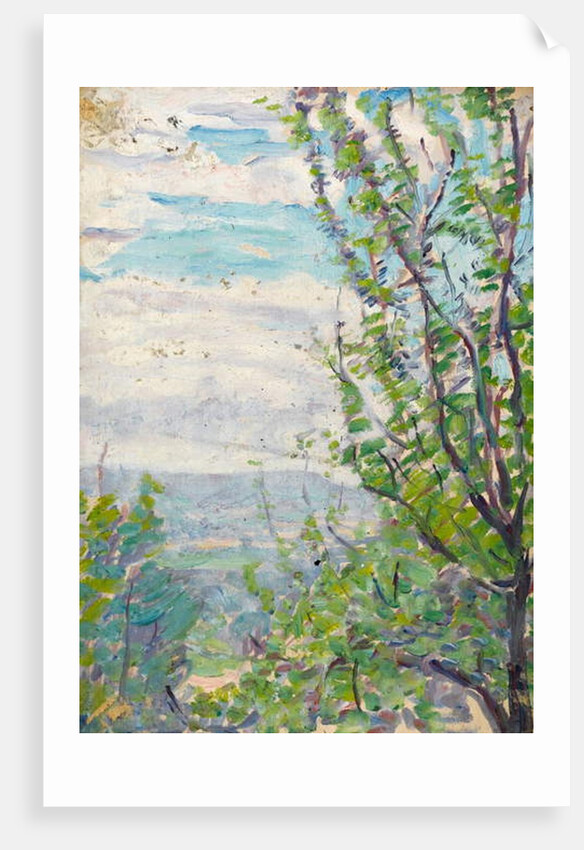 Blue sky and clouds with branches of fruit trees to the fore by Arthur Haythorne Studd