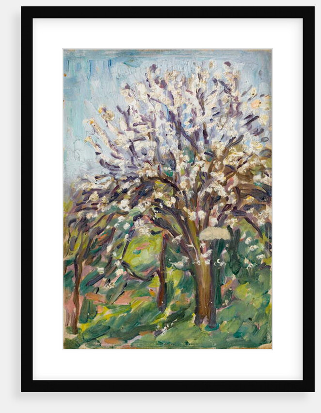 Almond Blossom on a sloping verge, c.1910 by Arthur Haythorne Studd