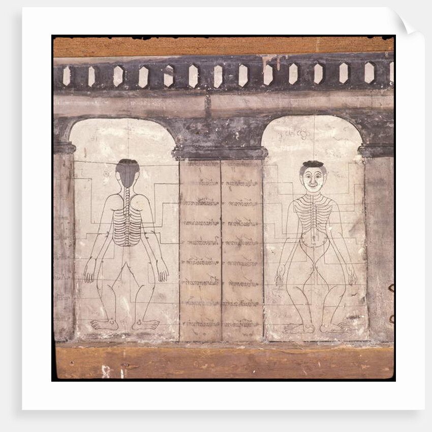 Depiction of massage points on the human body by Thai School