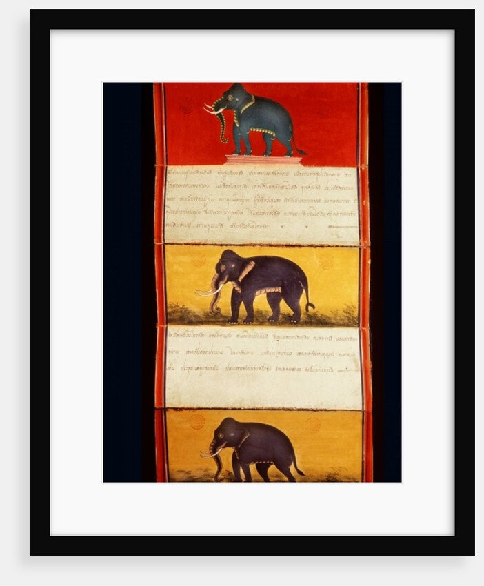 Folio from a manuscript on elephant training by School Thai