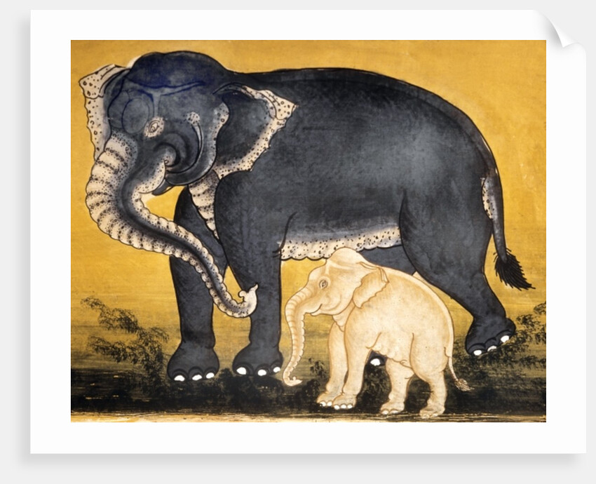 Elephant and calf by School Thai