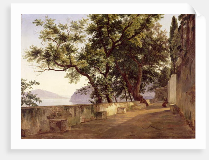 Garden of the Capuchin Friars, near Sorrento, 1827 by Carl Wilhelm Goetzloff