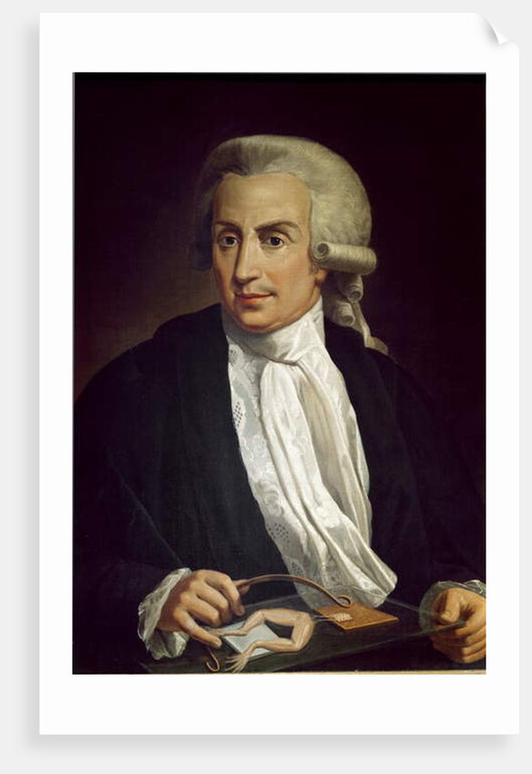 Luigi Galvani with frog specimen by Italian School