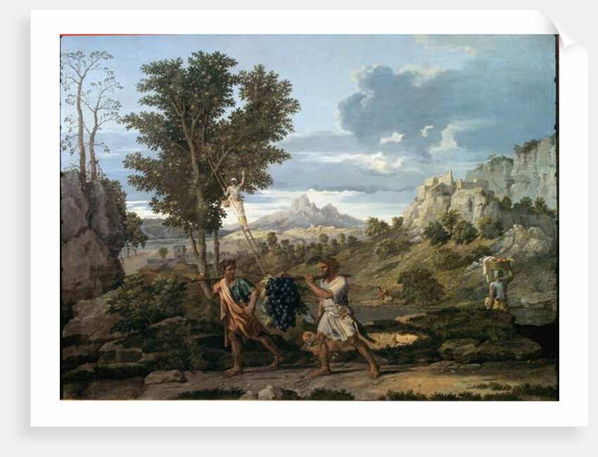Autumn or the bunch of grapes brought back from the promised land - by Nicolas Poussin