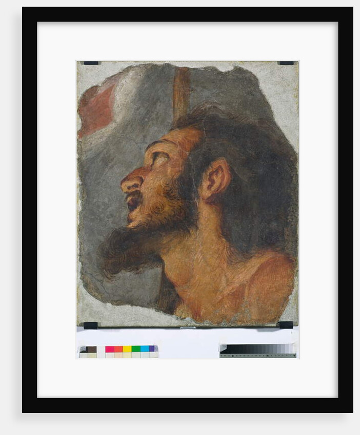 Head of St. John the Baptist Fragment of detached fresco, 1622 by Bernardo Strozzi
