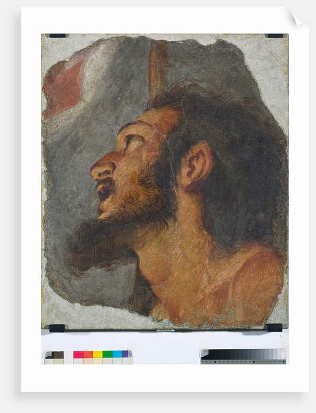 Head of St. John the Baptist Fragment of detached fresco, 1622 by Bernardo Strozzi