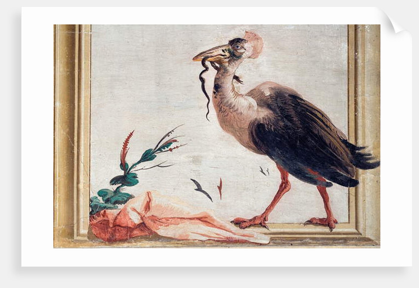 A Cassowary Holding a Snake in Its Beak by Giandomenico (1727-1804) Tiepolo