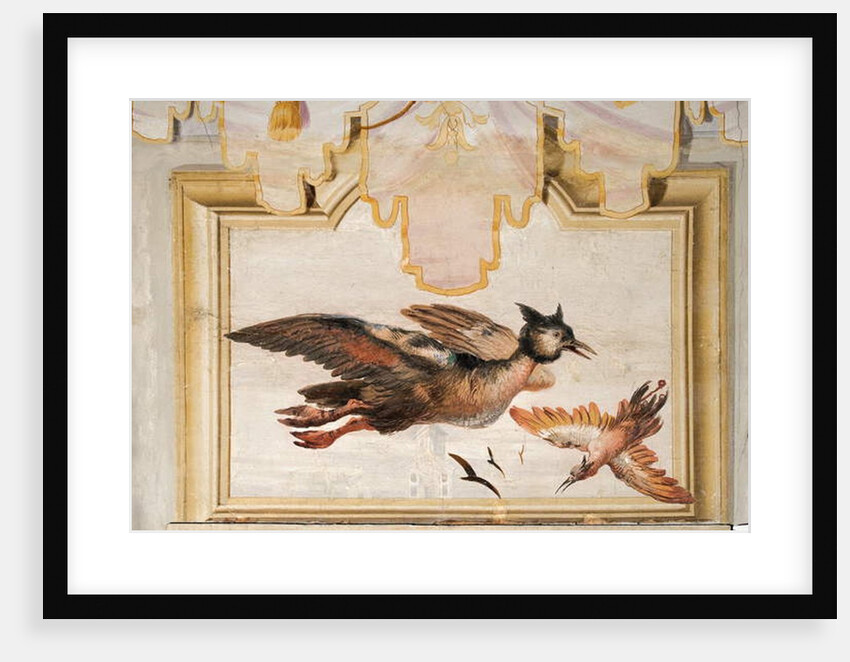A Pair of Exotic Birds by Giandomenico (1727-1804) Tiepolo