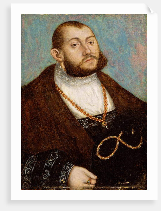 Portrait of Elector Johann Friedrich the Magnanimous of Saxony, c.1530 by Lucas the Elder Cranach