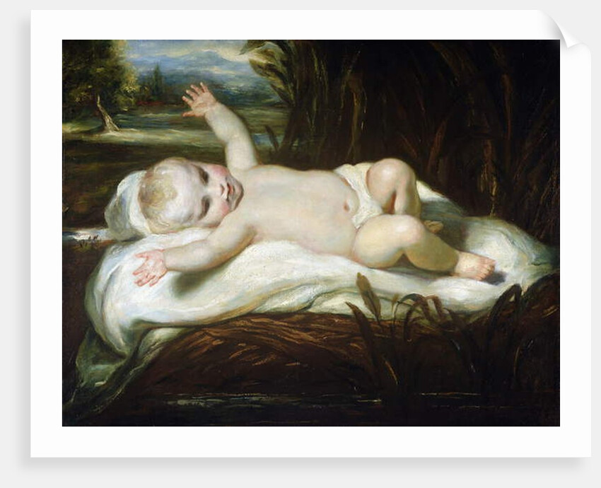 Moses in the Bullrushes by Joshua Reynolds