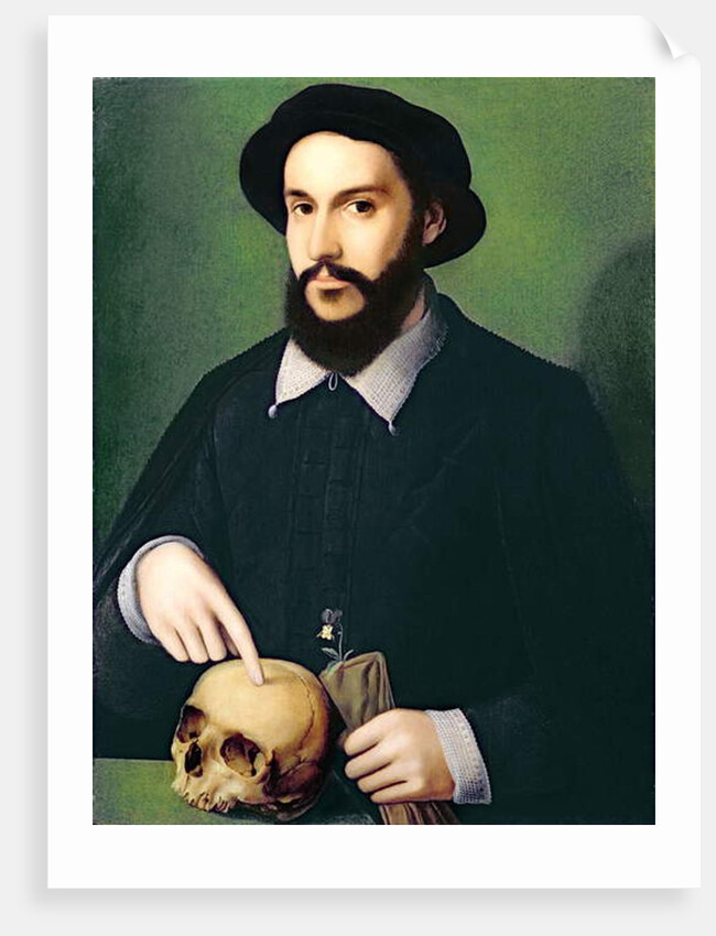 Portrait of a Gentleman with his Right Hand Pointing to a Skull, c.1540 by Master of the 1540s