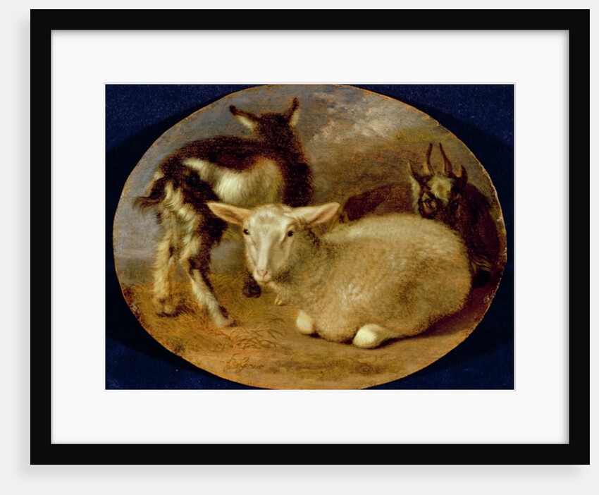 A Baby Lamb with a Kid and a Goat by Barent Graat