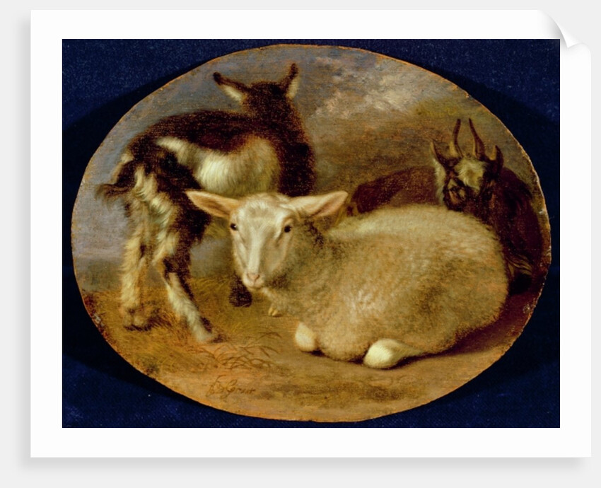 A Baby Lamb with a Kid and a Goat by Barent Graat