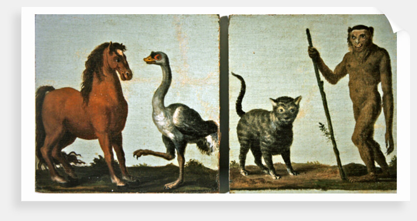 A horse and ostrich and a wildcat and wild man by Roelandt Jacobsz (follower of) Savery