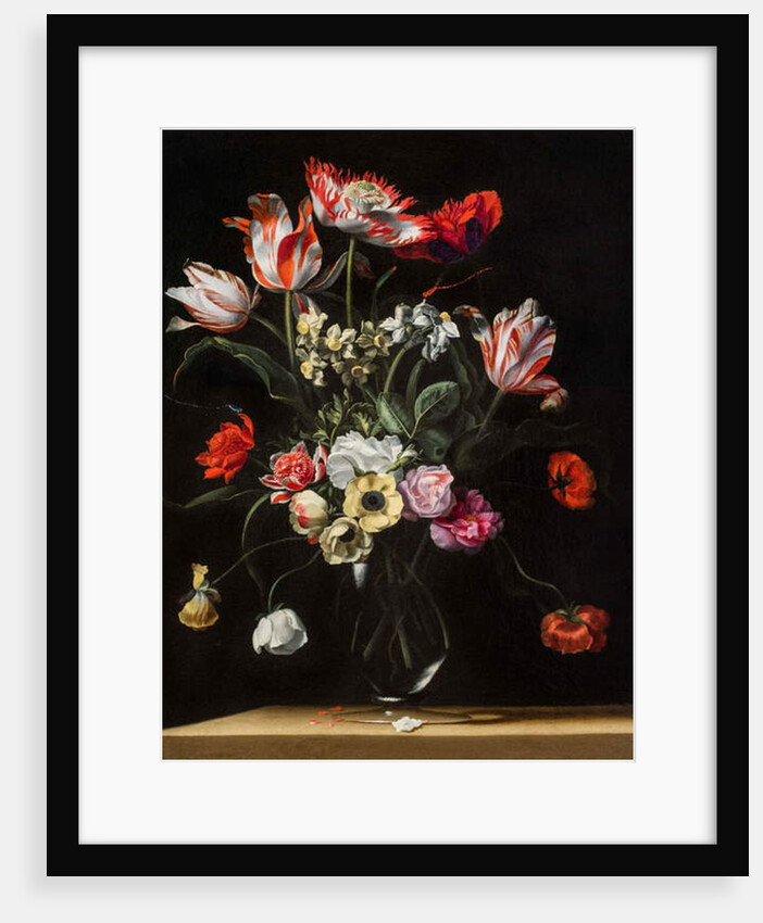 Tulips, Daffodils, Carnations, Poppies, Anemones, and Other Flowers in a Glass Vase on a Wooden Ledge, one of a pair, 17th century by Jean Picart