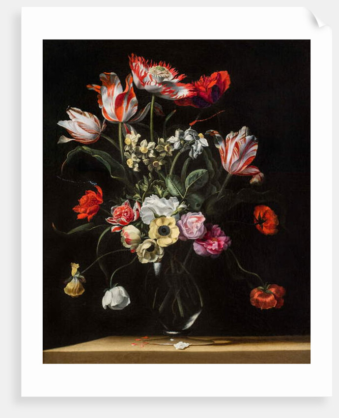 Tulips, Daffodils, Carnations, Poppies, Anemones, and Other Flowers in a Glass Vase on a Wooden Ledge, one of a pair, 17th century by Jean Picart