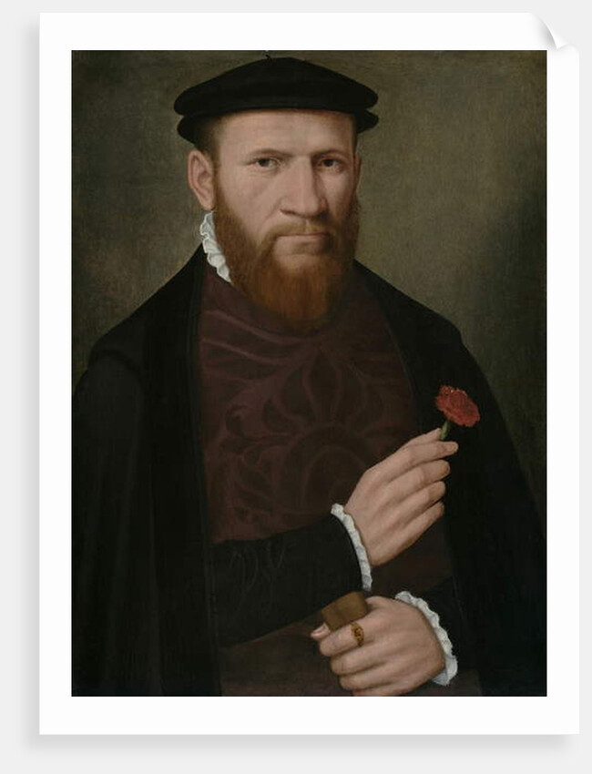 Portrait of a Man with his Right Hand Holding a Red Carnation and in his Left a Glove, 1540-51 by Master of the 1540s