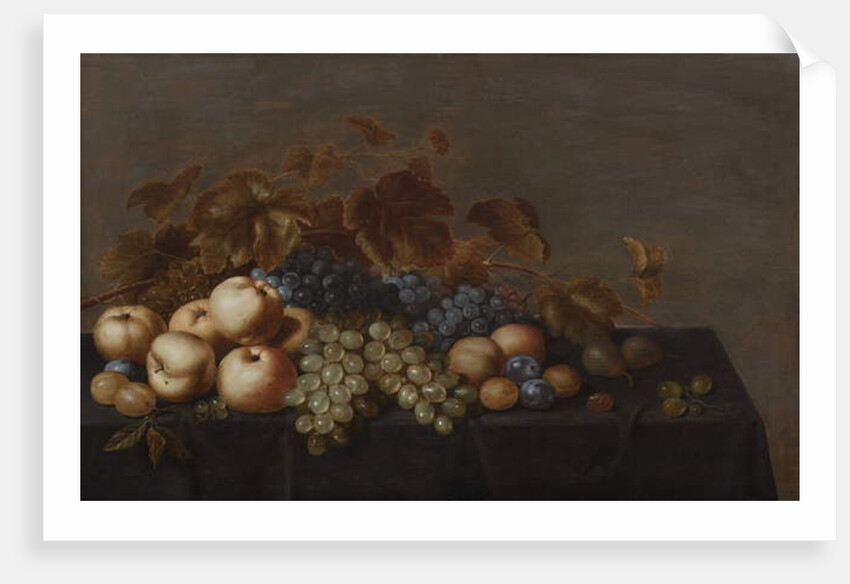 Still Life of Fruit on a Table Draped with a Dark Cloth: Plums, Apples, Bunches of Black and White Grapes and Pears by Floris van Schooten