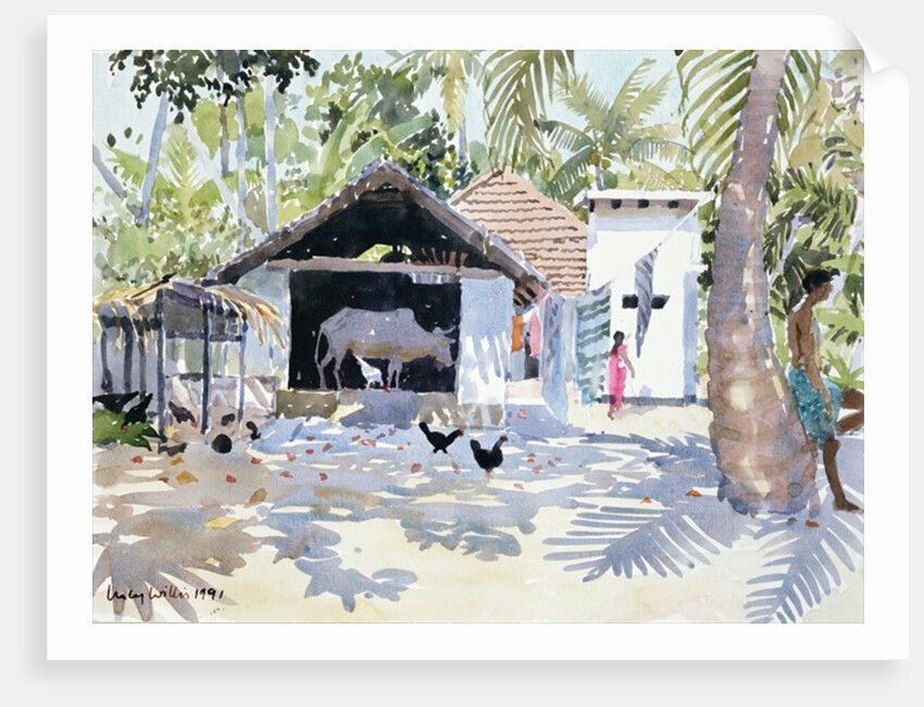 The Backwaters, Kerala, India, 1991 by Lucy Willis