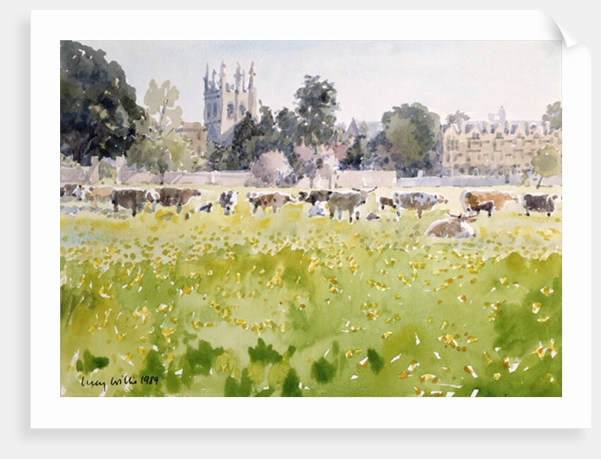 Looking Across Christ Church Meadows, 1989 by Lucy Willis