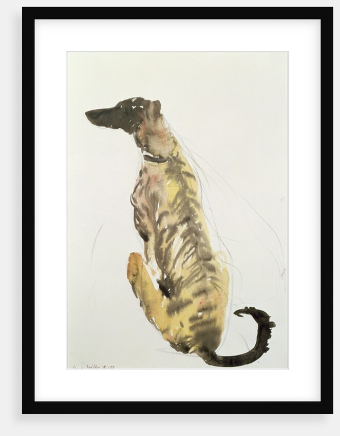 Lurcher Sitting, 1988 by Lucy Willis