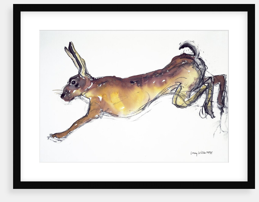 Jumping Hare by Lucy Willis