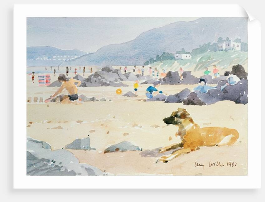 Dog on the Beach, Woolacombe, 1987 by Lucy Willis