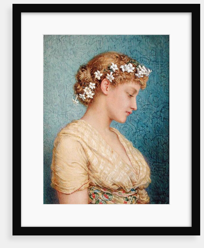 Stephanotis by Agnes Nicholl