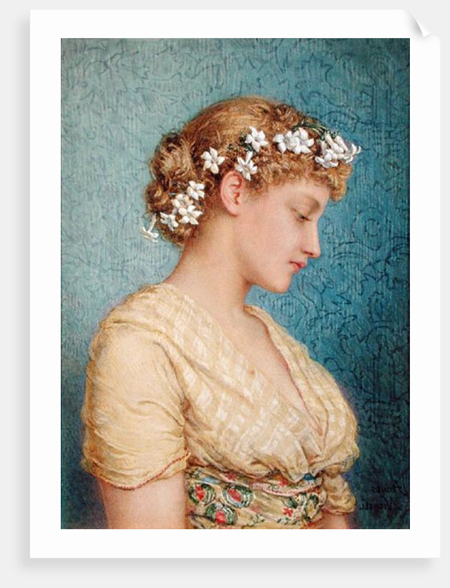 Stephanotis by Agnes Nicholl