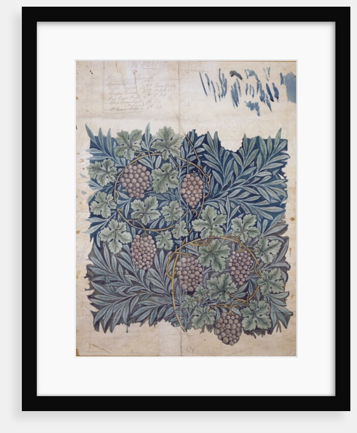 Leaf and Grape design for 'Vine' wallpaper by William Morris