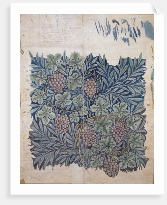 Leaf and Grape design for 'Vine' wallpaper by William Morris