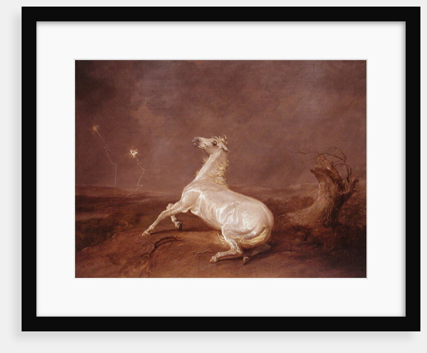 Mad Horse by Sawrey Gilpin