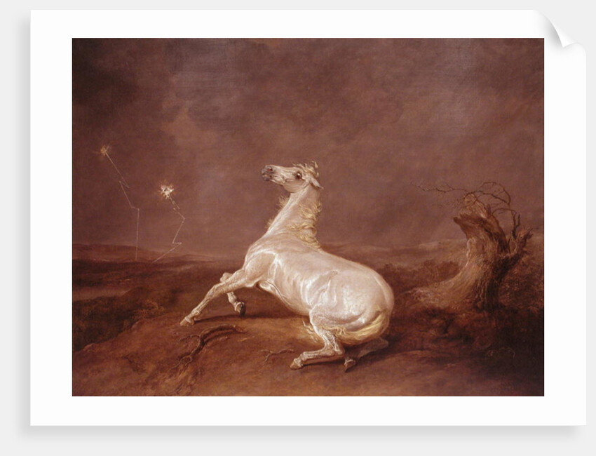 Mad Horse by Sawrey Gilpin