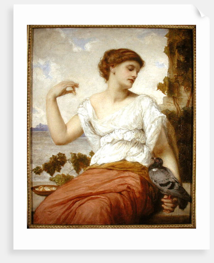 The Pet Pigeon, 1886 by Gustave Pope