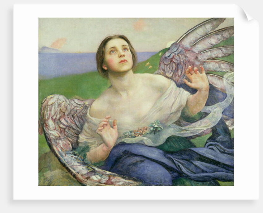 The Gift of Sight by Annie Louisa Swynnerton