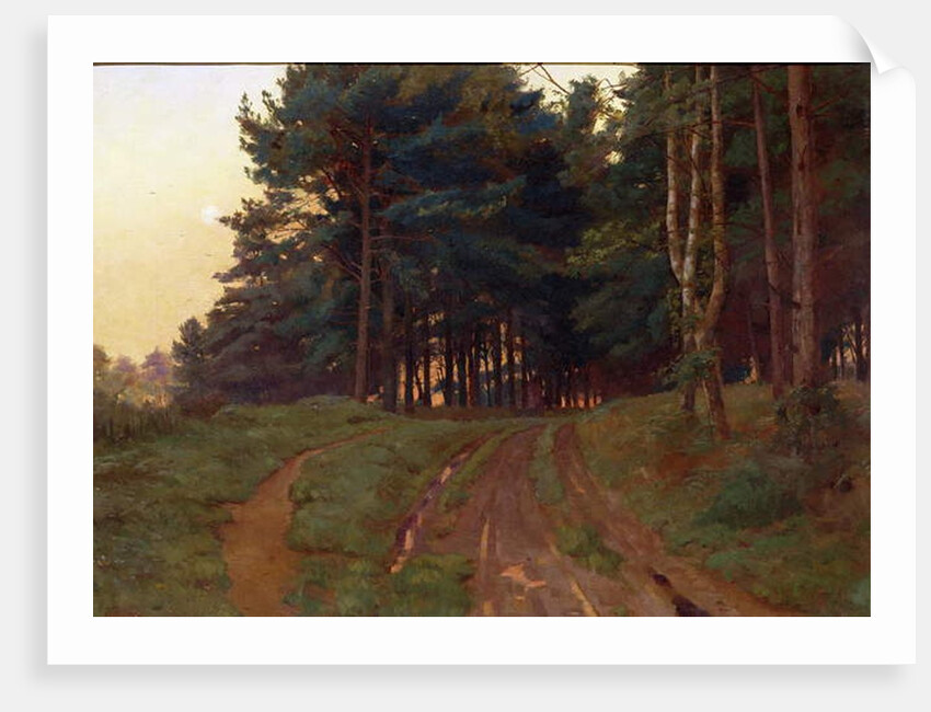 Silence Claimed Her Evening Reign, 1888 by Ernest Arthur Rowe