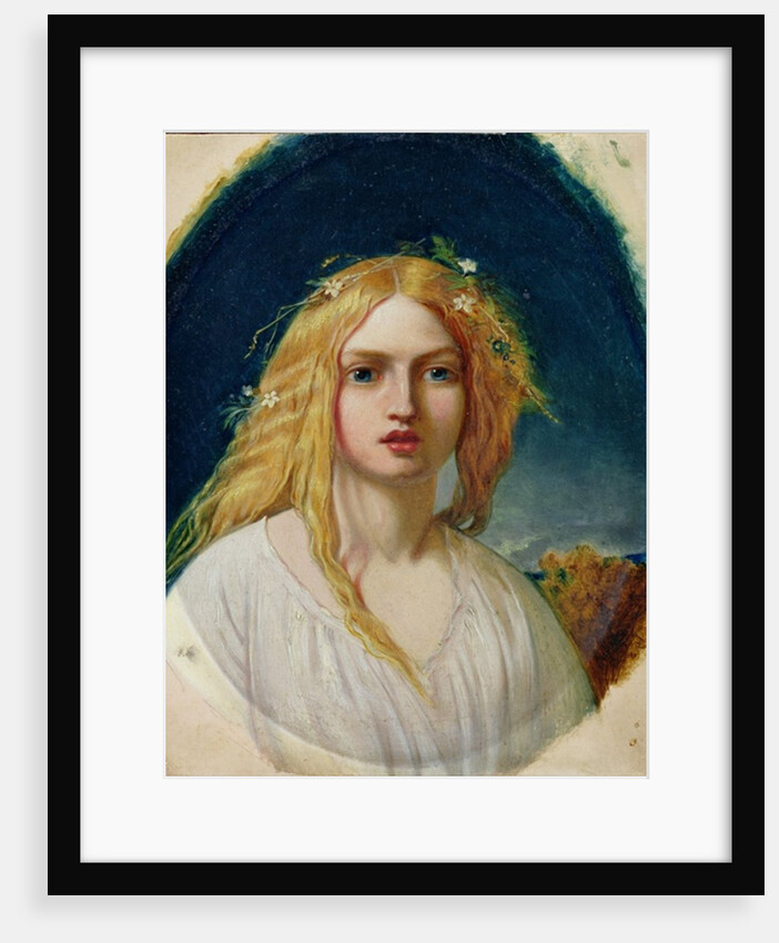 Ophelia or Evangeline by William Gale