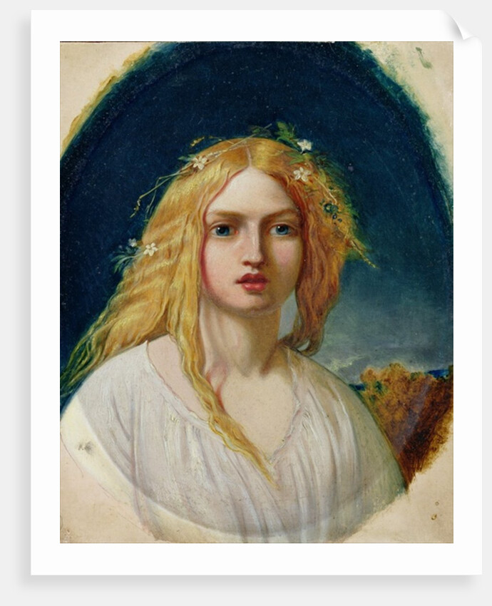 Ophelia or Evangeline by William Gale