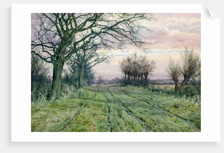 A Fenland Lane with Pollarded Willows, 1887 by William Fraser Garden
