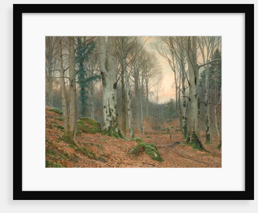 A Welsh Wood in Winter by James Thomas Watts