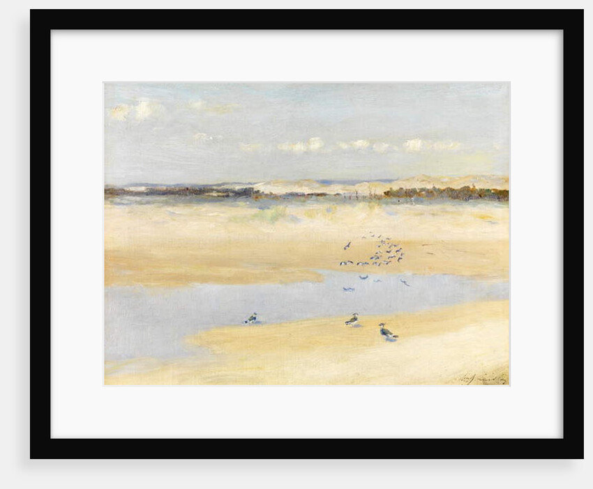Lapwings by the Sea by William James Laidlay