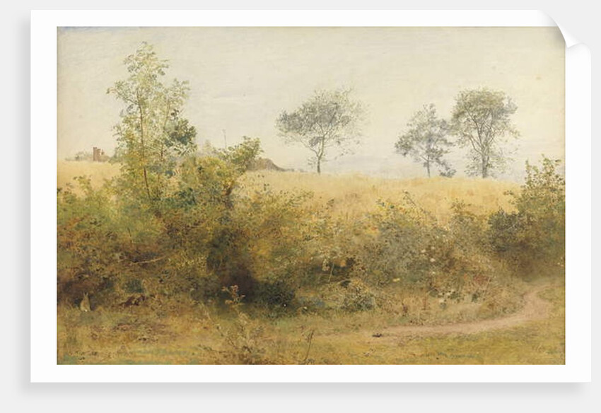 The Bat Begins with Giddy Wing - Barley Field Over the Hedge, 1885 by John William North