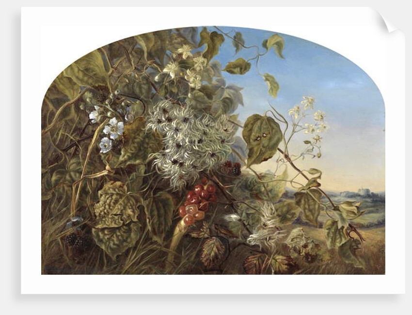 An Autumn Hedgerow near Carisbrooke, 1864 by Frances Mary Minns