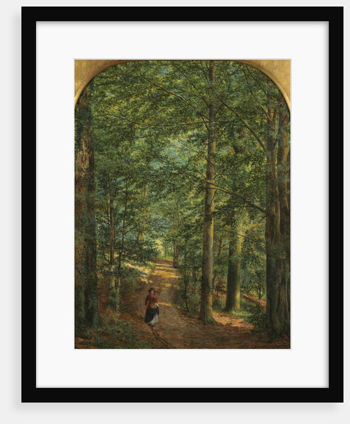 In the Woods by Edmund George Warren