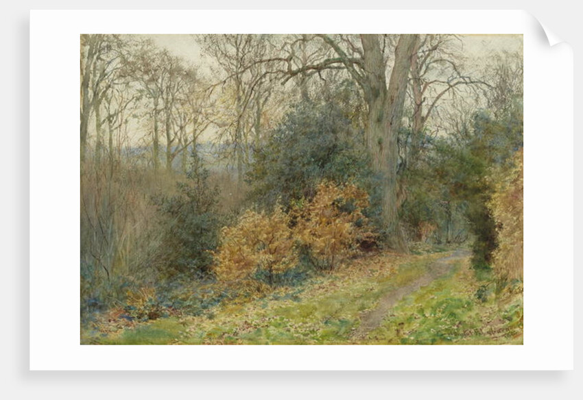 Path Through the Wood, 1902 by Wilmot R.W.S. Pilsbury