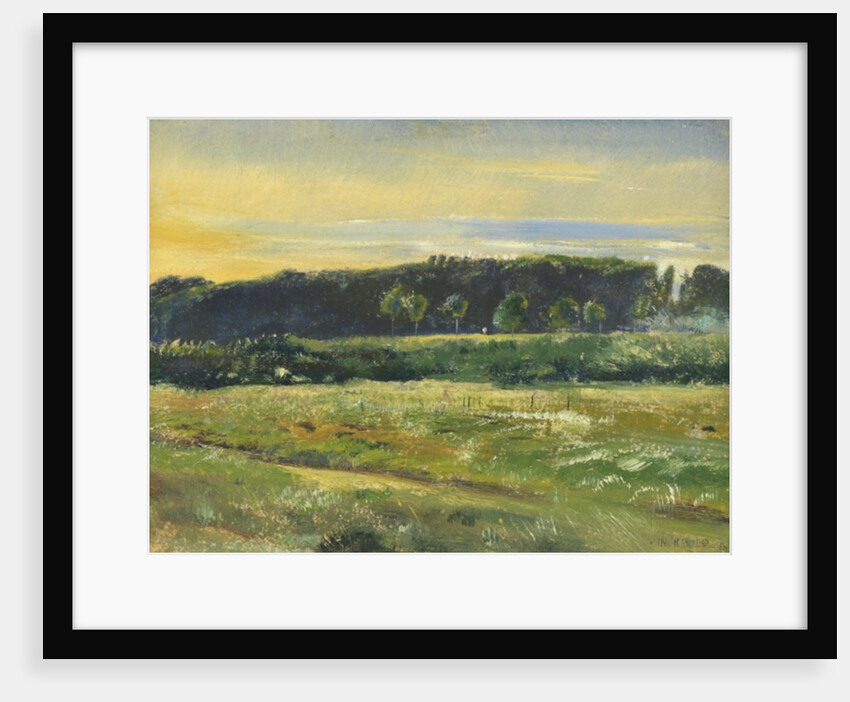 The Common, June, 1871 by John William Inchbold