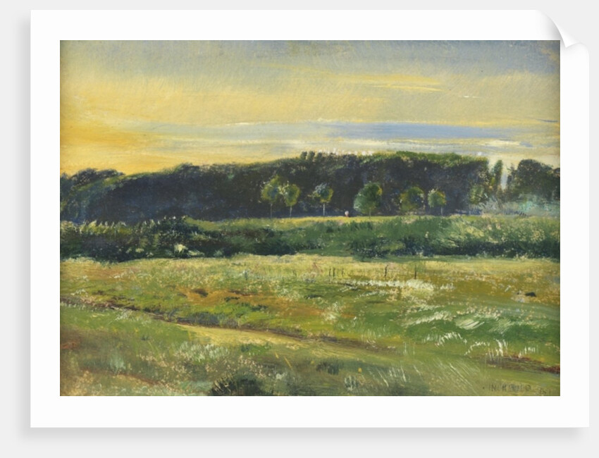 The Common, June, 1871 by John William Inchbold