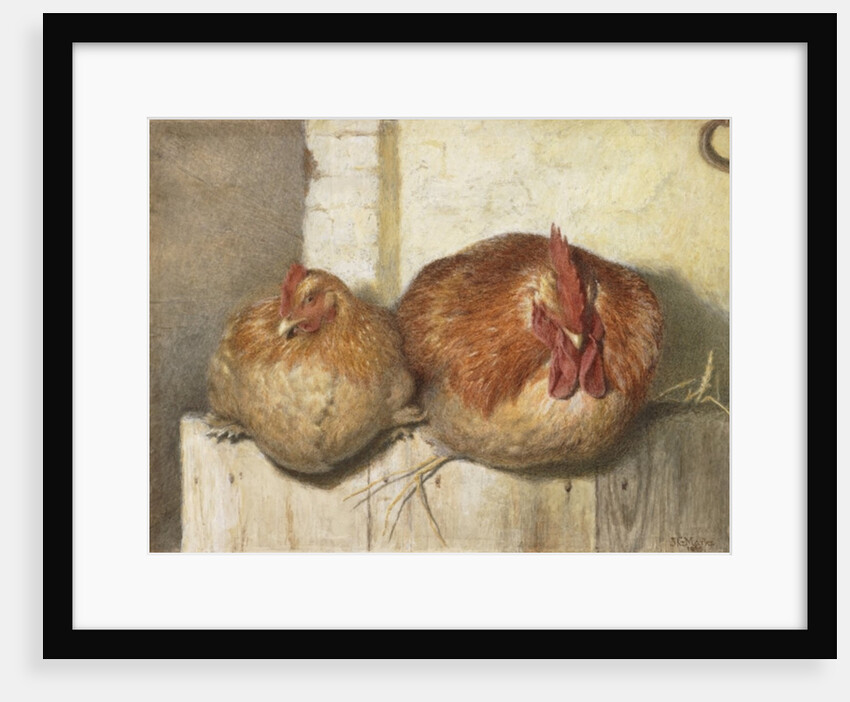 Forty Winks, 1865 by J.G. Marks