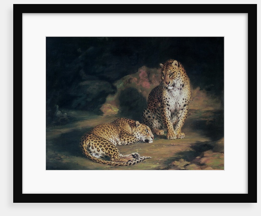 A Pair of Leopards, 1845 by William Huggins