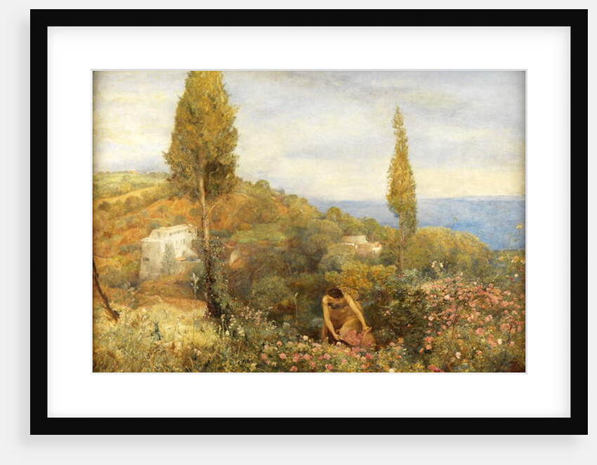 Roses, Asphodel, and Cypress - Algeria by John William North